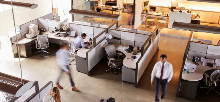people working in an office in cubicles