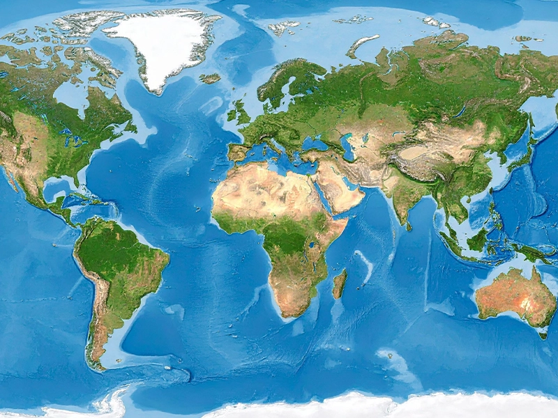Investment Guidance for International Clients